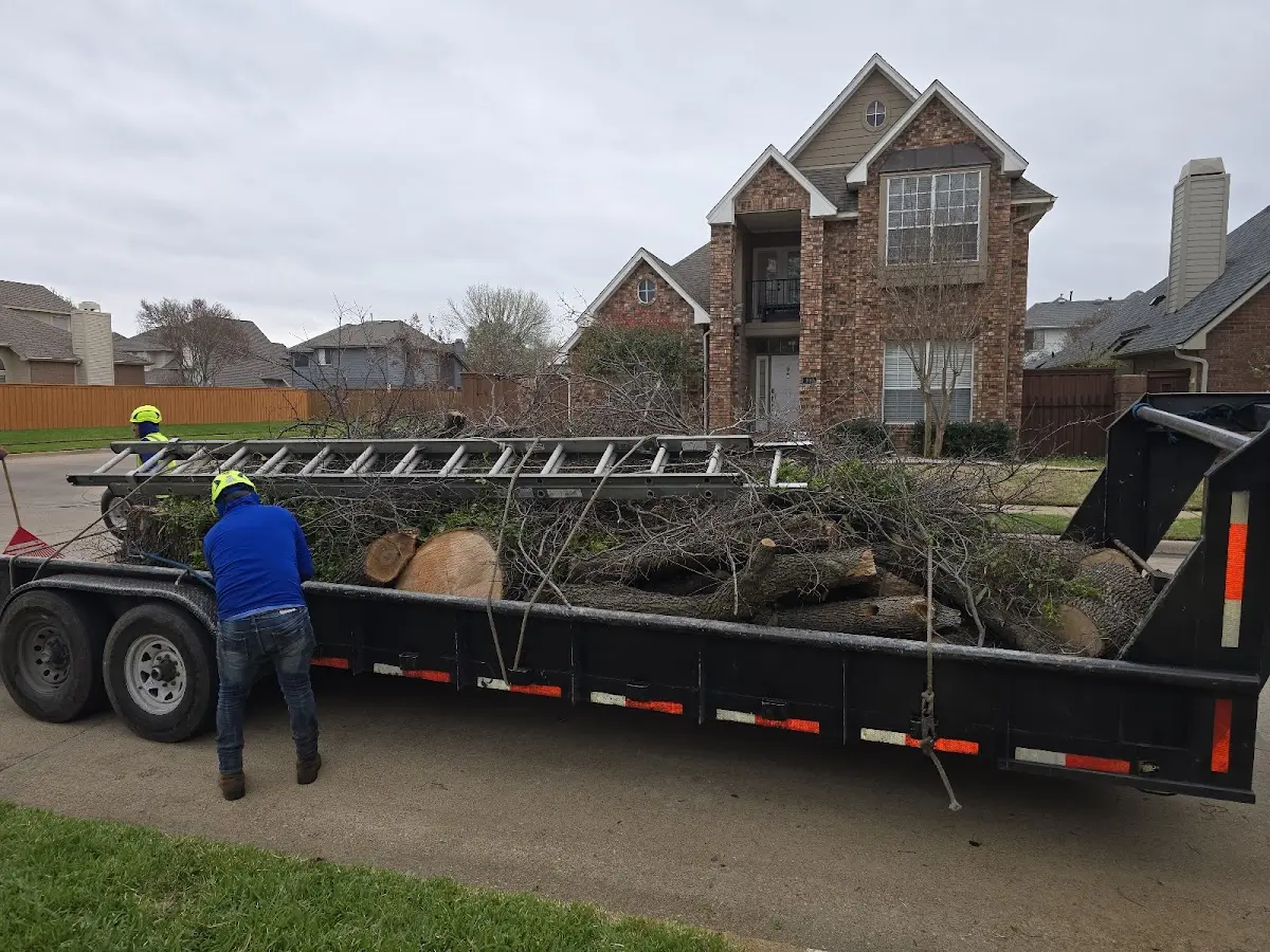 Expert Tree Fertilization with proper safety equipment in Ina